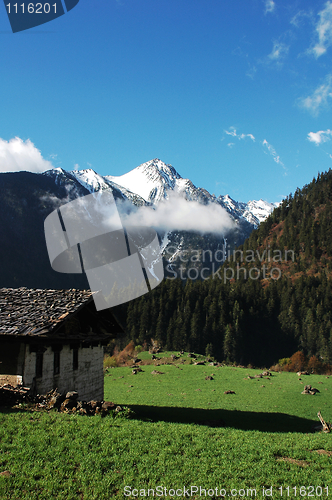 Image of Landscape in Shangrila