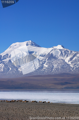 Image of Landscape in Tibet