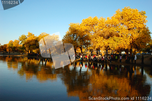 Image of Scenery in autumn