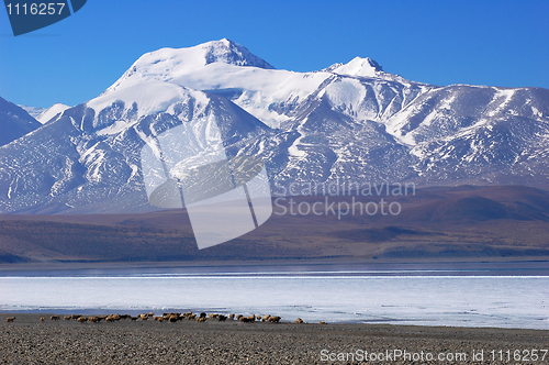 Image of Landscape in Tibet