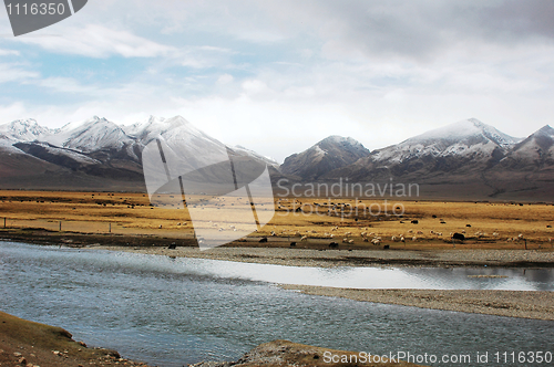 Image of Landscape of snow mountains and stream