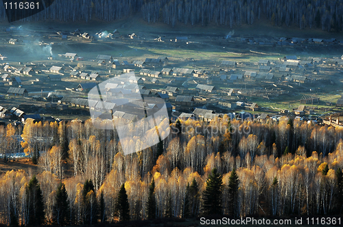 Image of Landscape of a small village with woods in an autumn morning