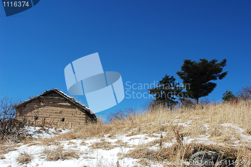 Image of Landscape in winter