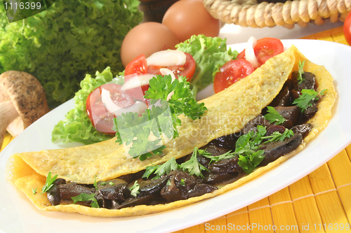 Image of Mushroom omelet