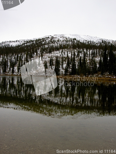 Image of Snowy Reflection