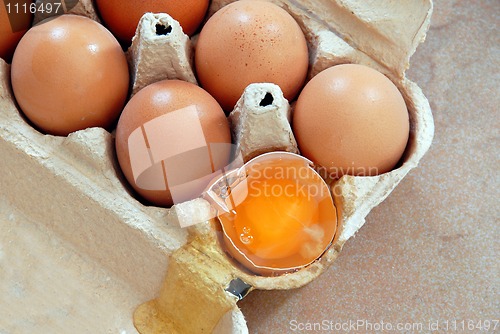 Image of Eggs in box