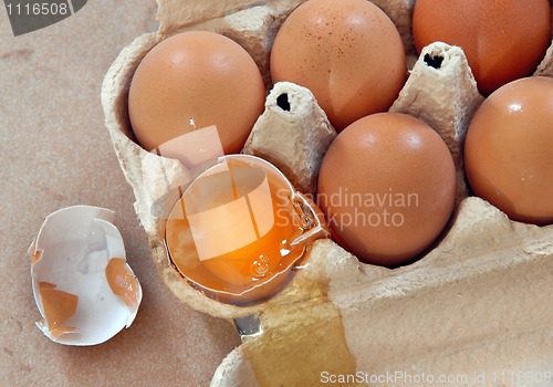 Image of Eggs in box