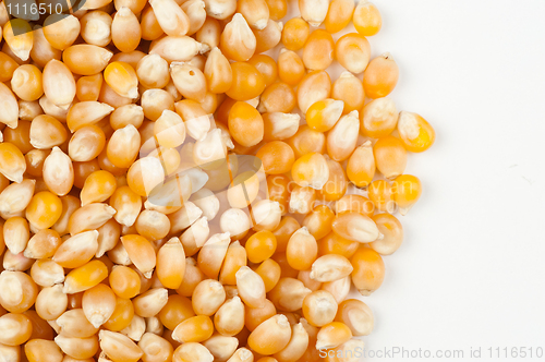 Image of Corn