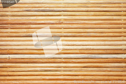 Image of Bamboo pattern