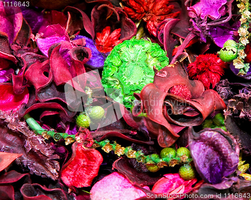 Image of Potpourri purple