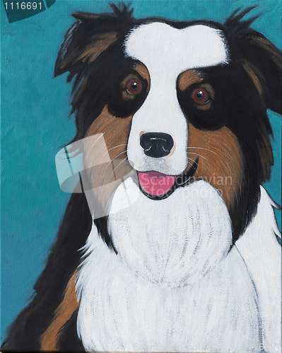 Image of Australian Shepherd