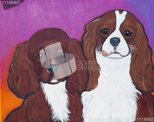 Image of Cavalier King Charles Spaniels