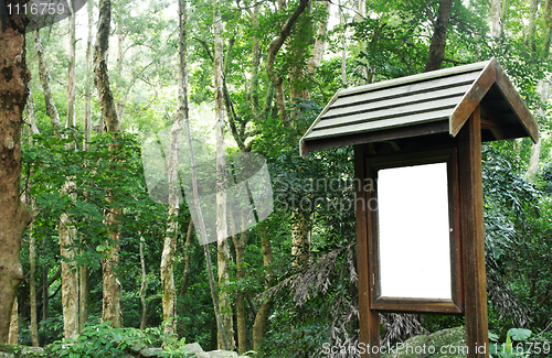 Image of billboard in forest