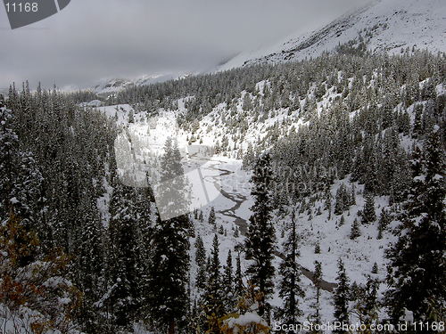 Image of Overnight Snowfall