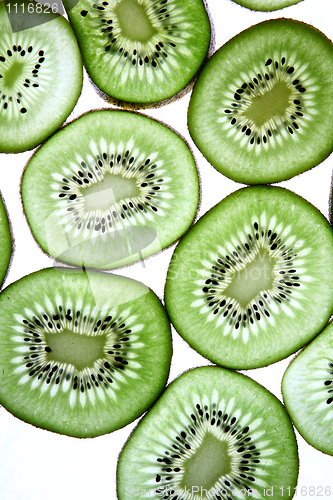 Image of Detail view of kiwi slices backlighted over white background. 