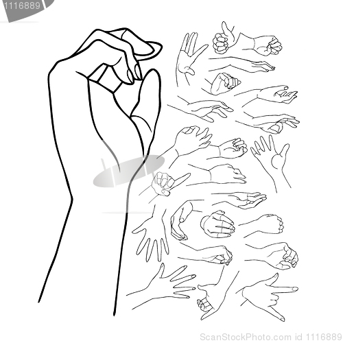 Image of hands, vector set