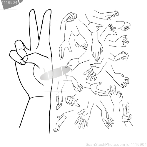 Image of hands, vector set