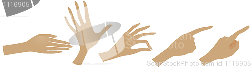 Image of vector set of woman's hands