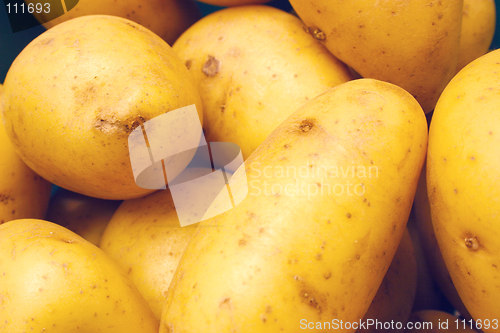 Image of new potatoes