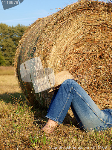 Image of Straw bales in the fall