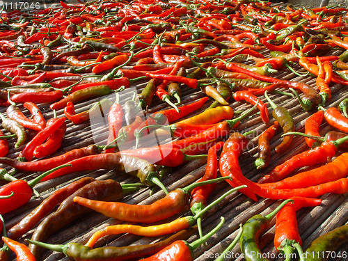 Image of Red peppers