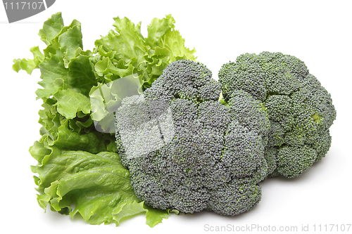 Image of Broccoli and lettuce
