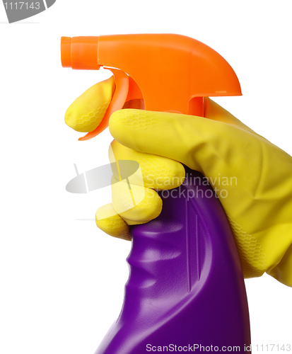 Image of Hand holds sprayer with chemical cleaner