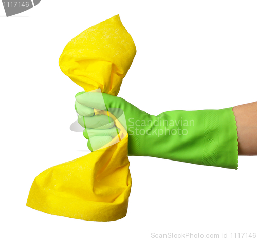 Image of Hand in rubber glove holds cleaning rag