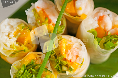 Image of vietnamese style summer rolls