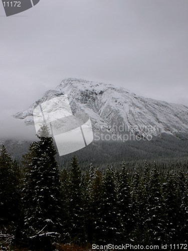 Image of Snow Capped