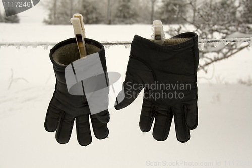 Image of Black Gloves