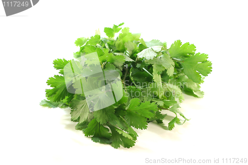 Image of Coriander