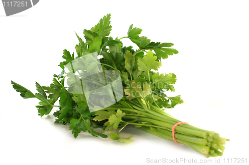 Image of Parsley