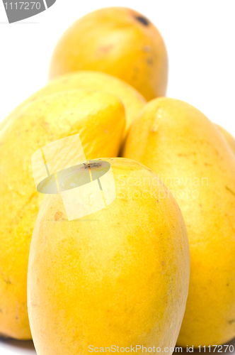 Image of champagne mangos in plastic box white background