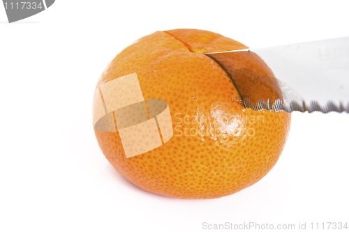 Image of Mandarin orange cut with a knife