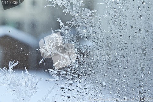 Image of Ice crystals on a glass window