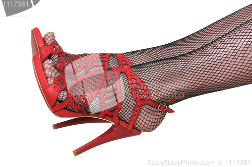 Image of female legs