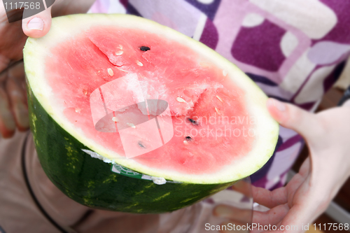 Image of Watermelon