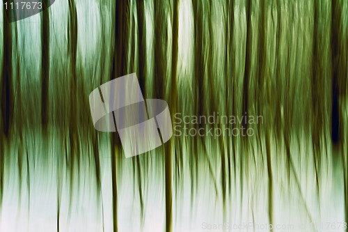 Image of Tree Abstraction