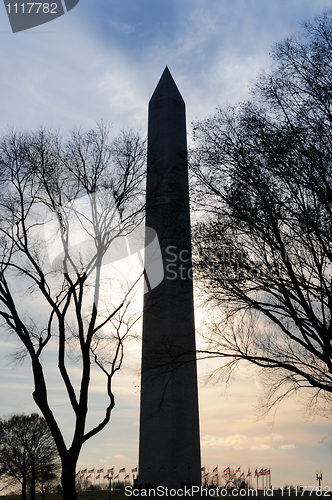 Image of The Washington Monument 