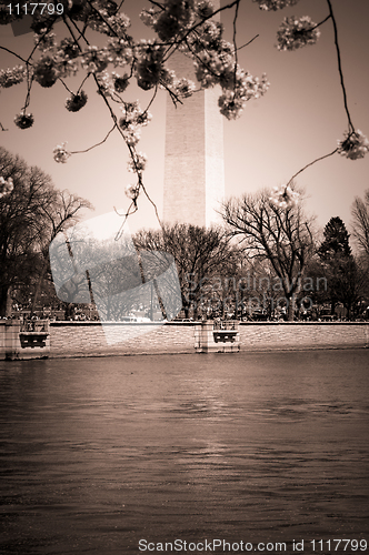 Image of Washington Monument