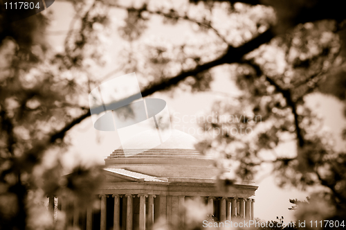 Image of Jefferson Memorial and cherry blossoms