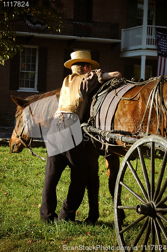 Image of Horse wagon with driver 