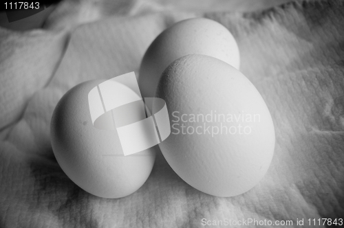 Image of eggs