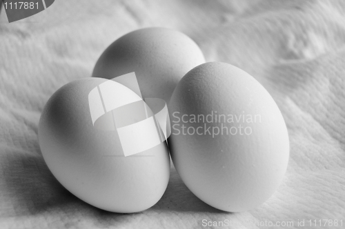 Image of eggs