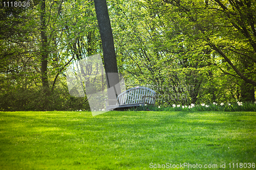 Image of Park bench