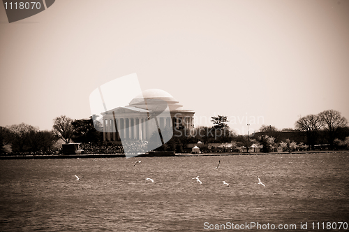 Image of Jefferson memorial