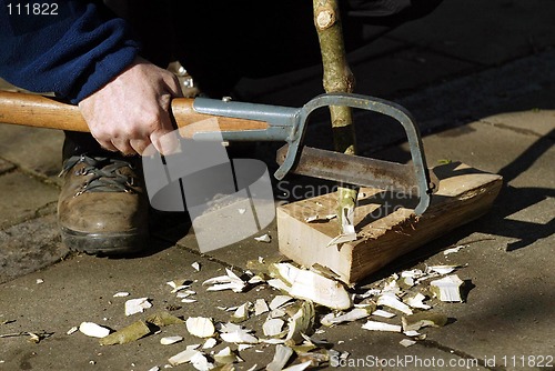 Image of Woodcutter