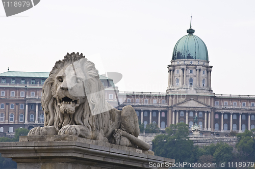 Image of Chain bridge