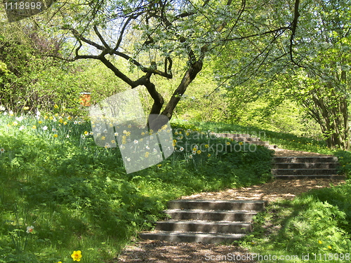 Image of Garden in spring